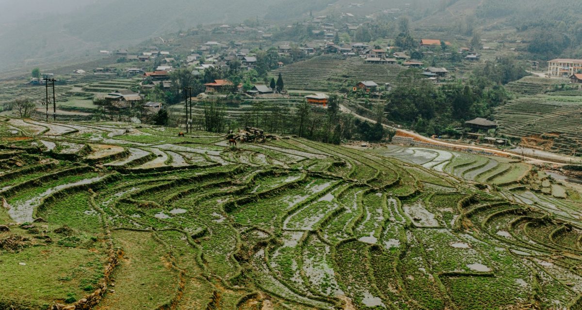 Village entouré de rizières en terrasses à Sapa