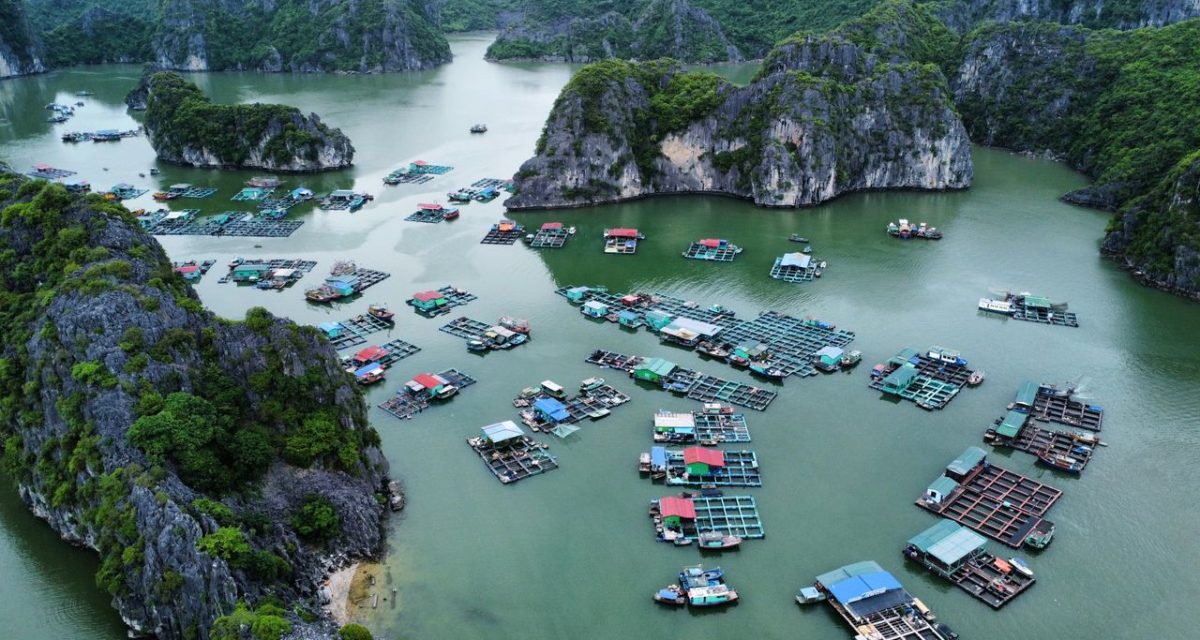 Village flottant dans la région de Hai Phong