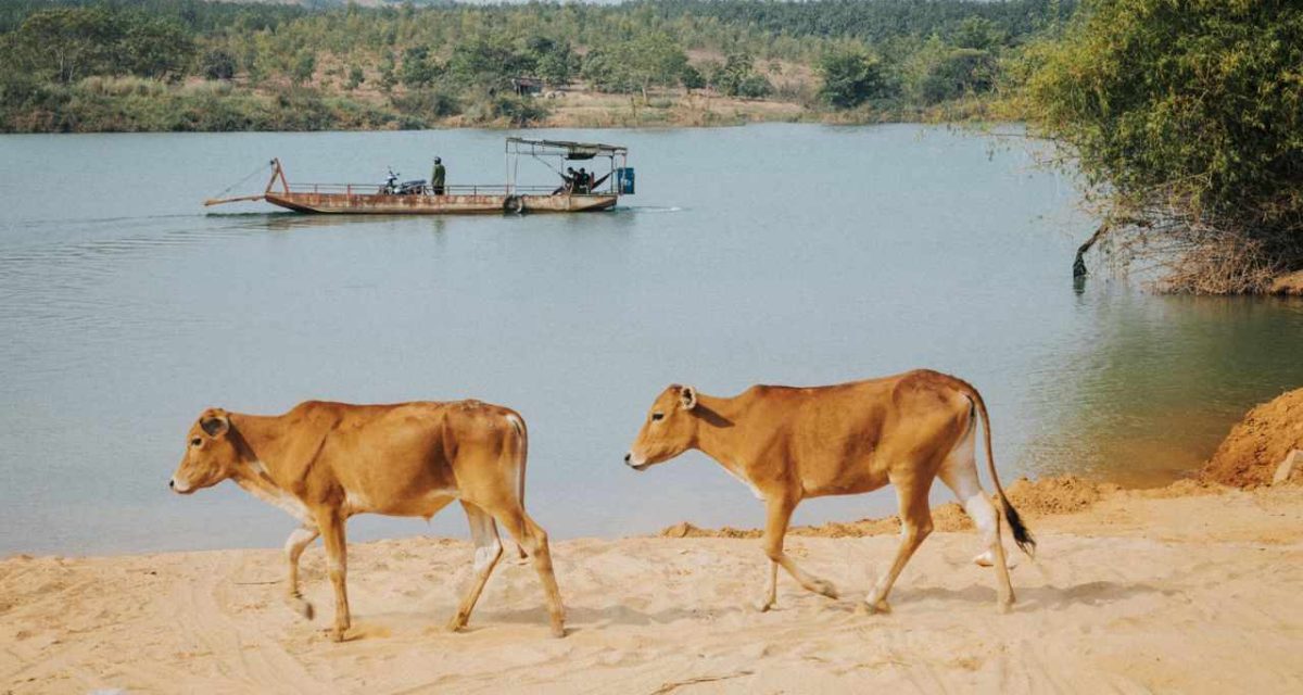 Visiter Lac Thac Ba