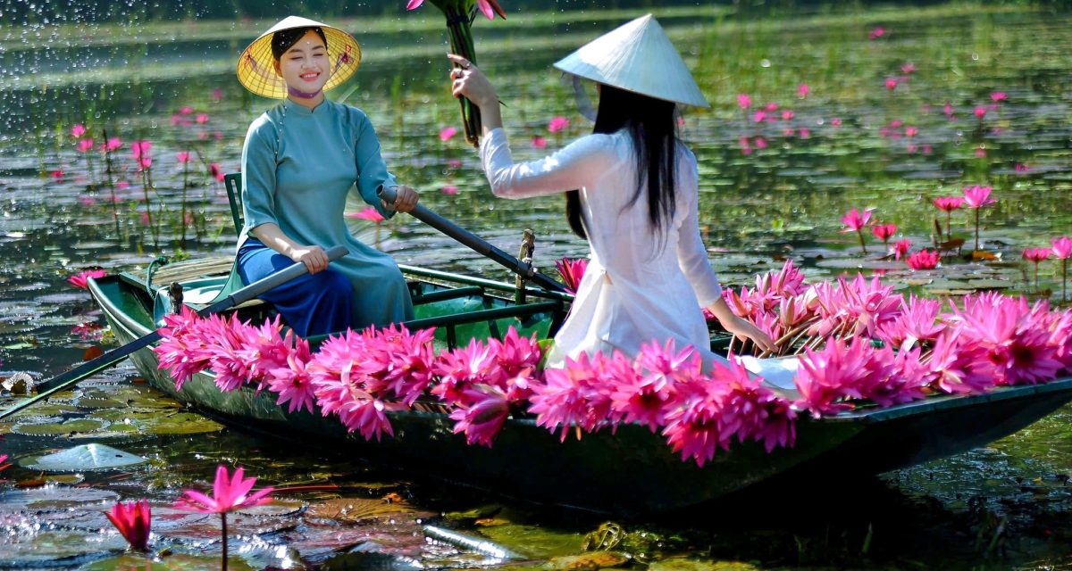 baie dhalong terrestre ninh binh