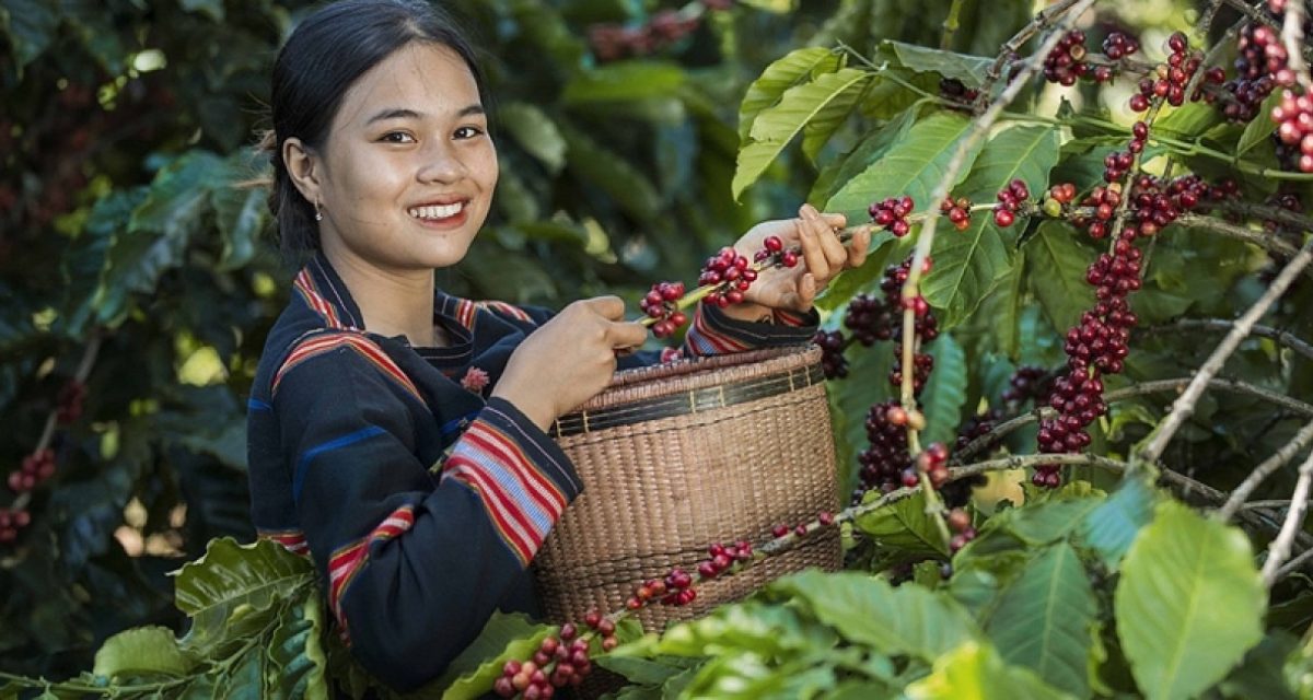 cafe vietnam