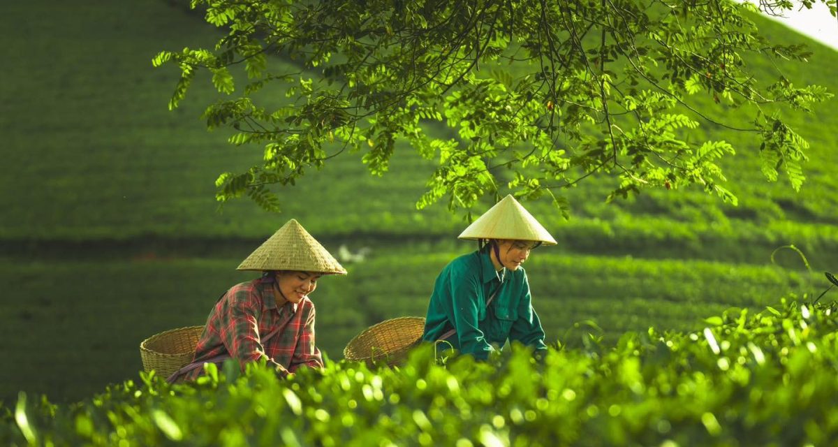 culture-the-vietnam