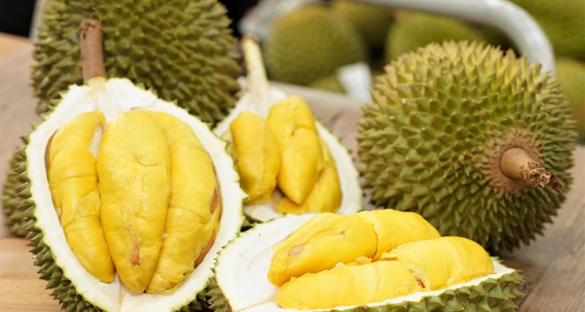 durian