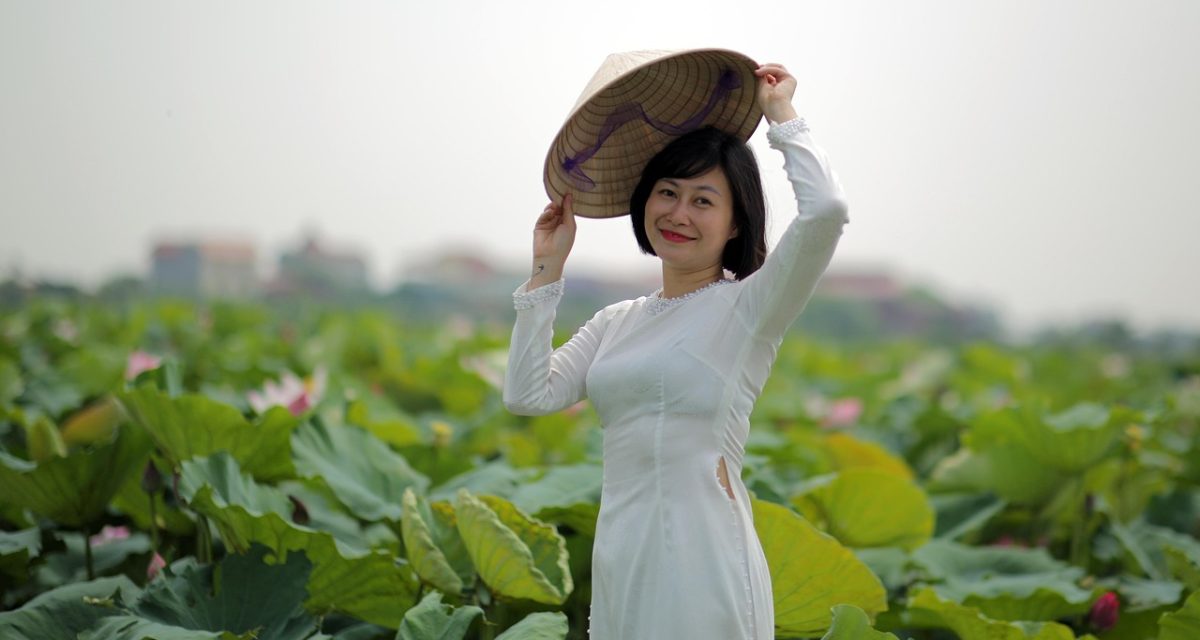 fleur de lotus au Vietnam