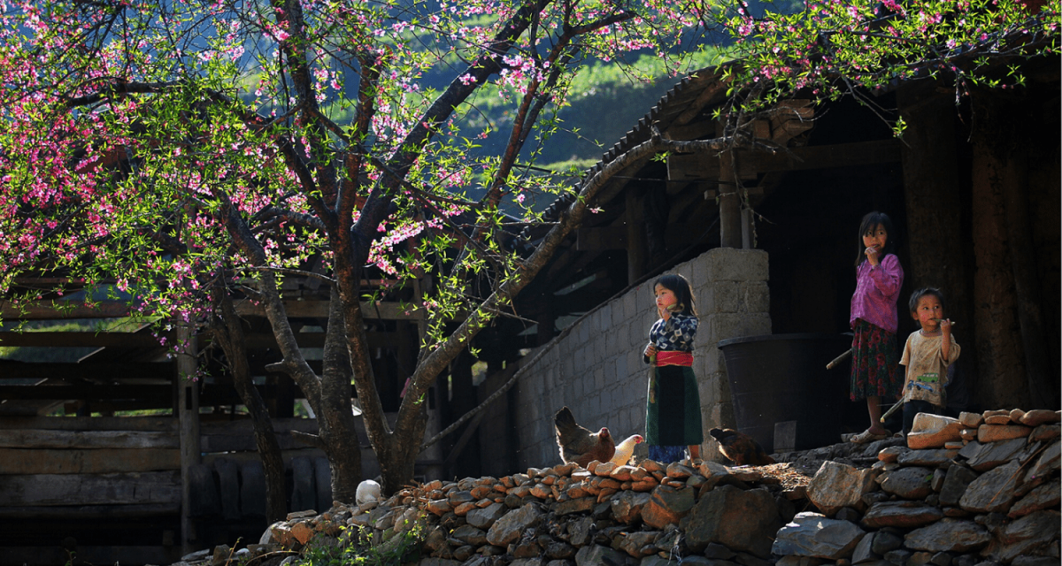ha-giang