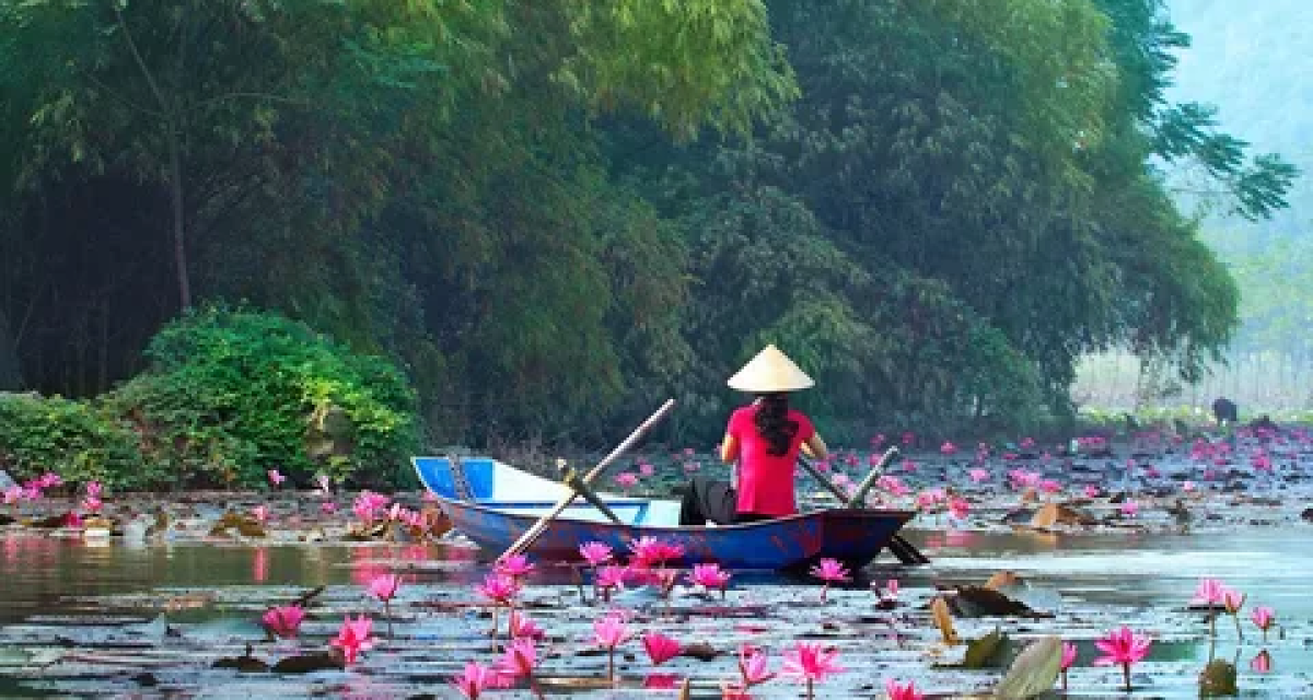 vietnam en effervescence