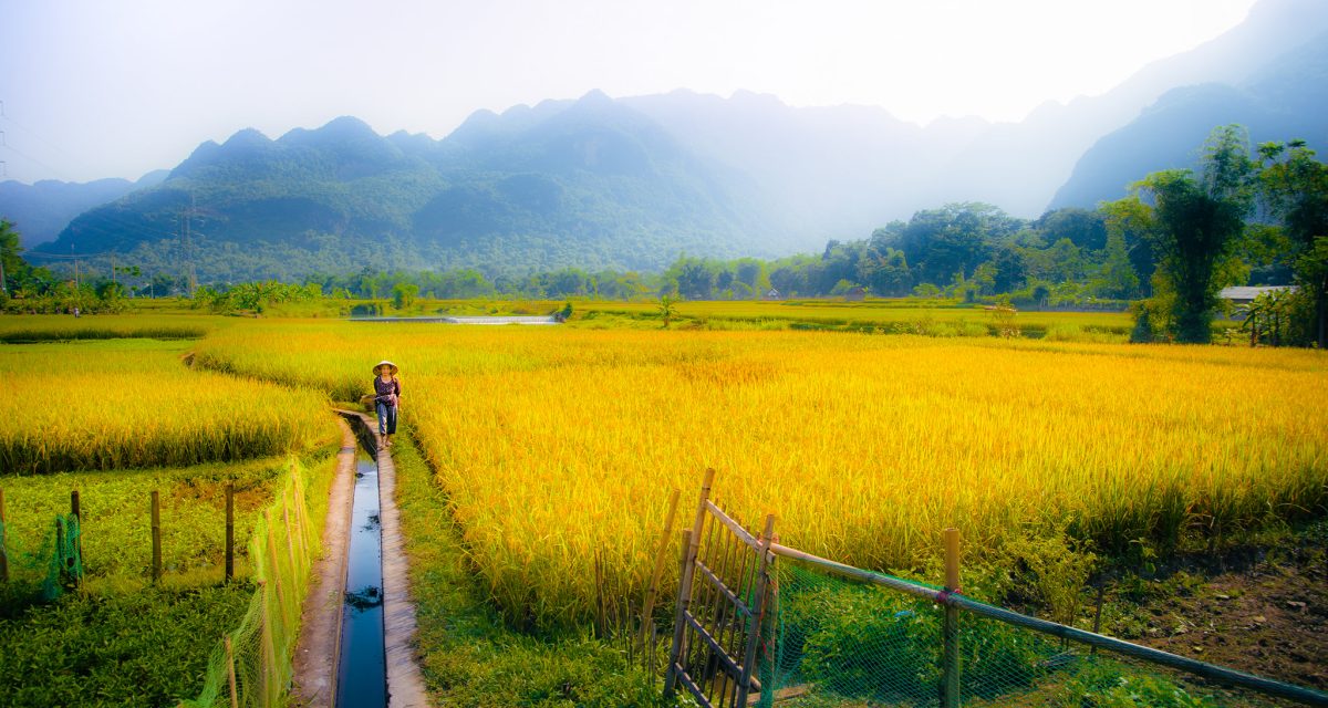 mai-chau-9
