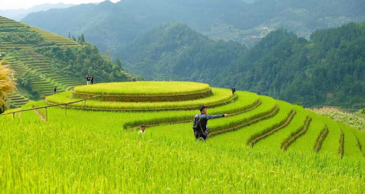 meilleure période pour partir au Nord du Vietnam