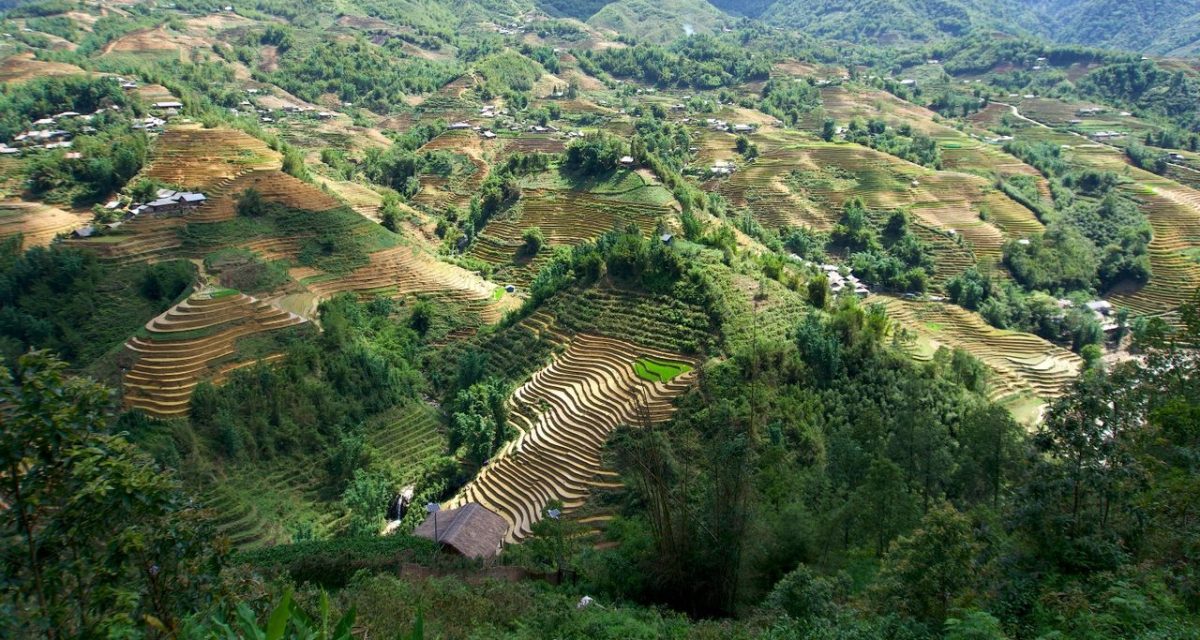 montagne de Sapa