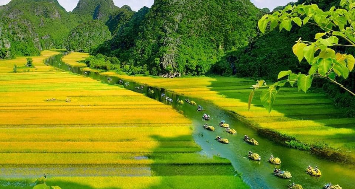 excursion tam coc, ninh binh