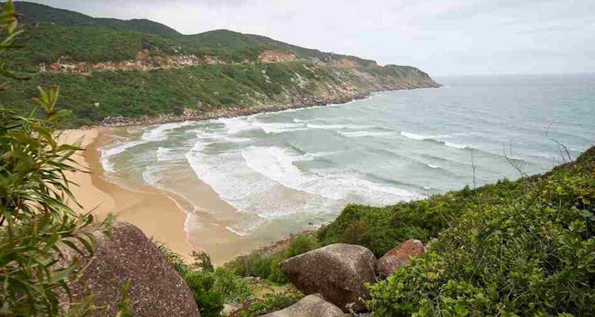 plages de surf au Vietnam