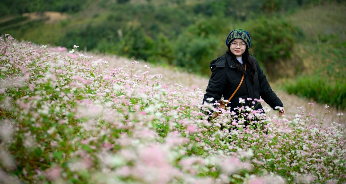 Hà Giang, des paysages qui changent au rythme des saisons