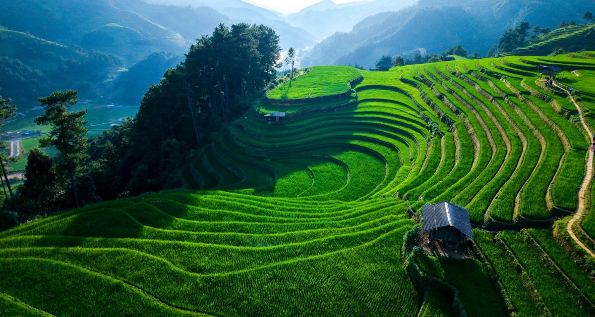 rando-mu-cang-chai5 circuit vietnam 15 jours