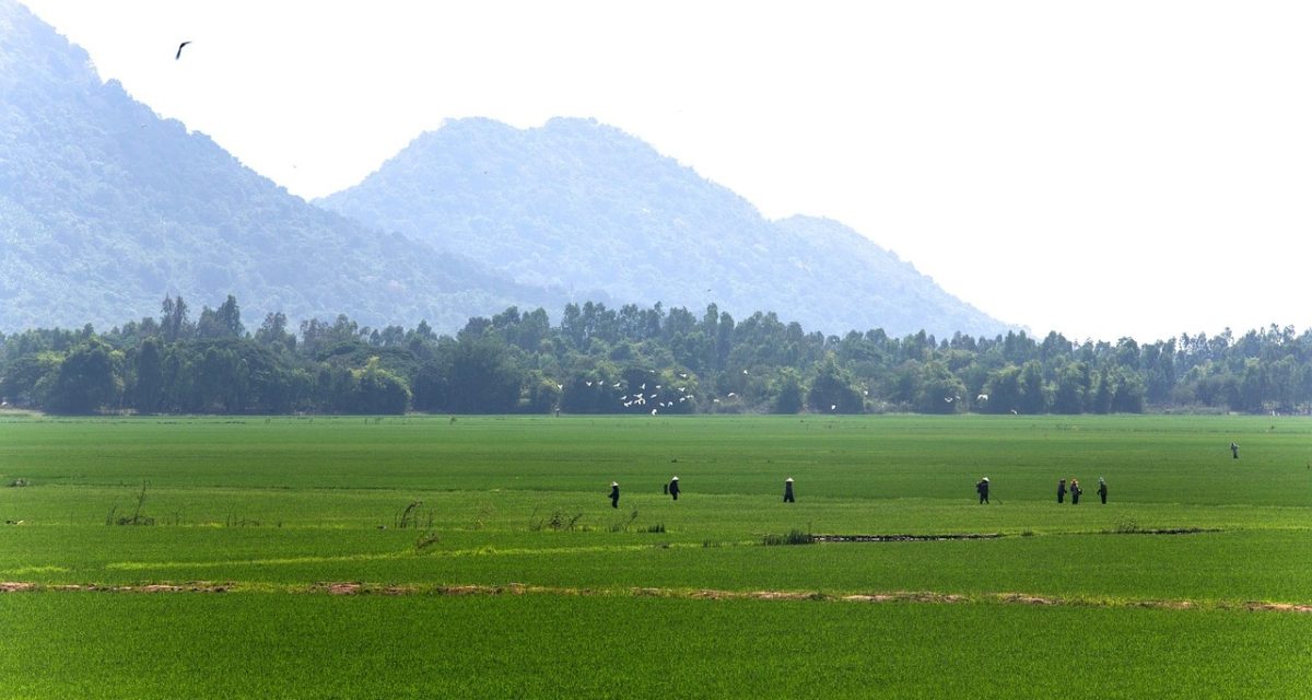 randonnée à Pu Luong