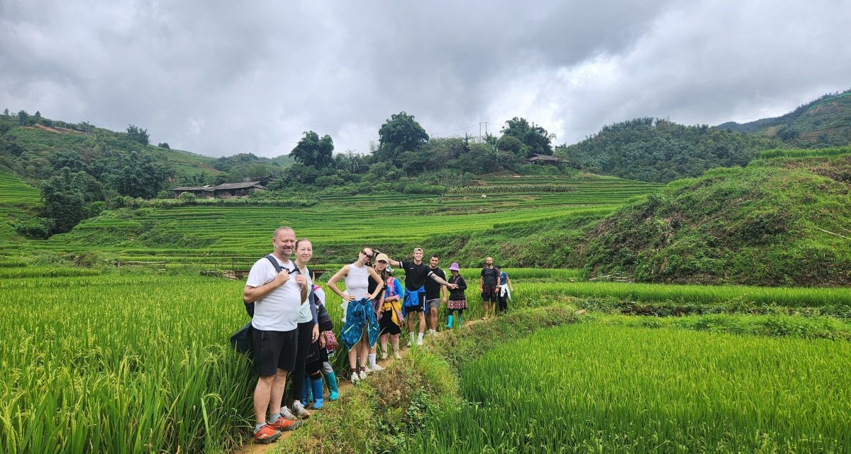 sapa