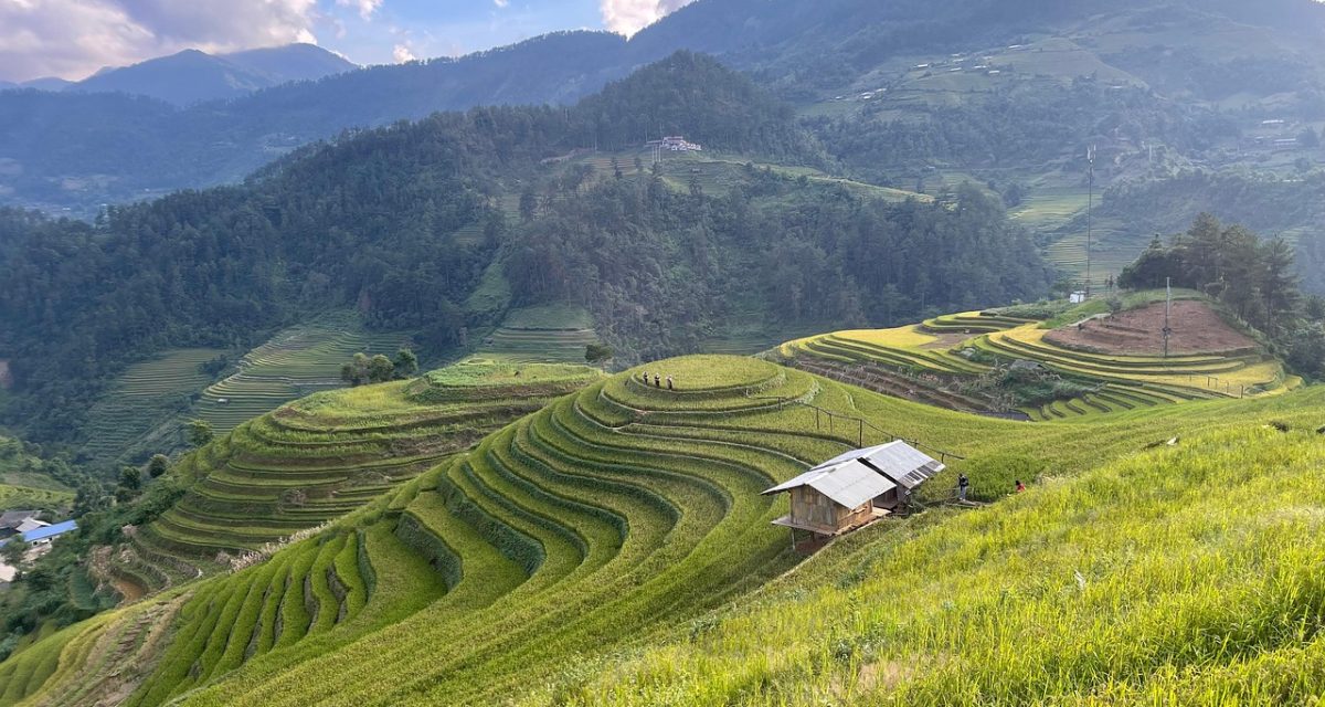rizières en terrasses de Mù Cang Chải