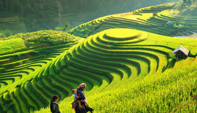 rizierre-en-terrace-sapa1 rizierre-en-terrace-sapa1
