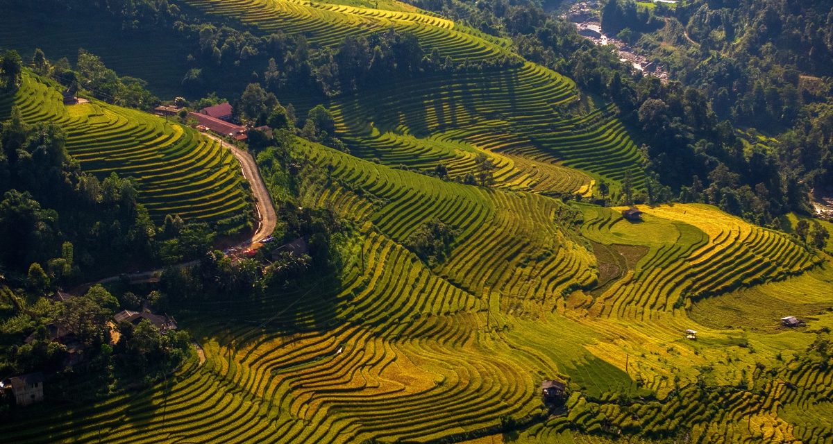 rizierres mu cang chai