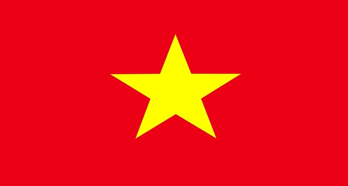 à quoi ressemble le drapeau du Vietnam