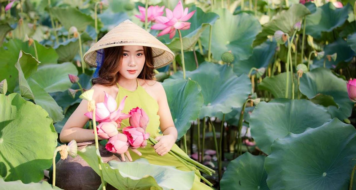 signification du lotus vietnamien