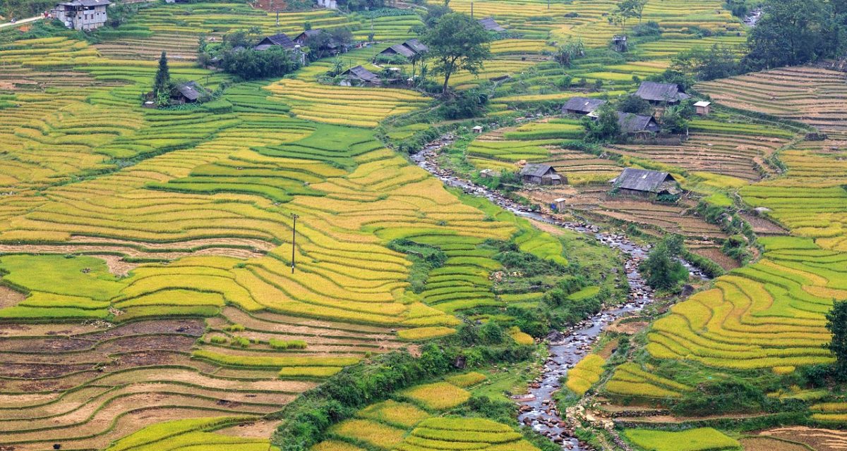 village de montagne à Sapa au Vietnam