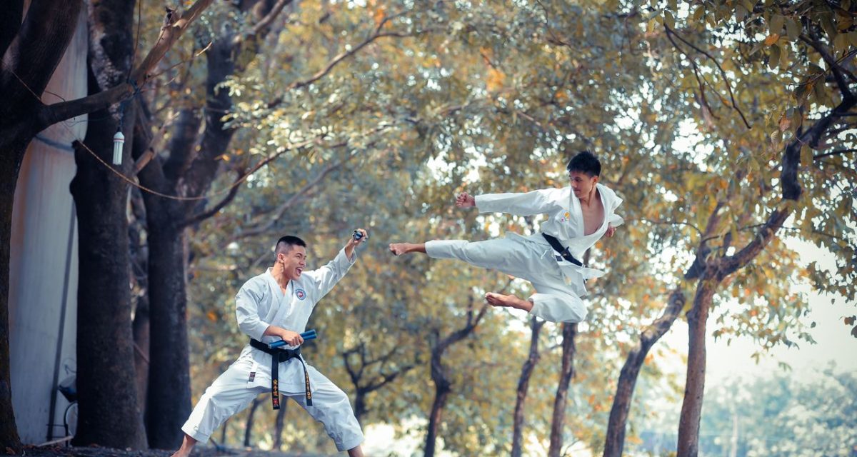 vovinam